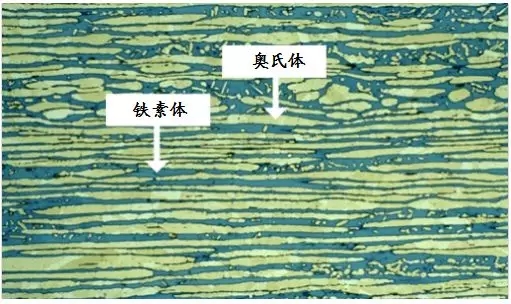 双相新利(中国)官方金相显微组织